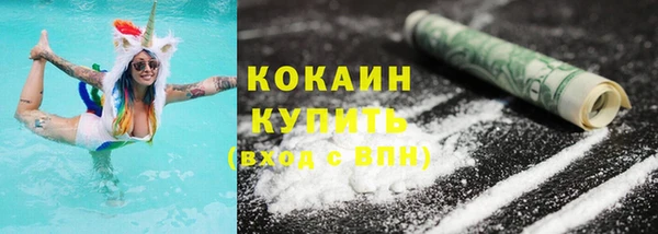 гашик Дубна